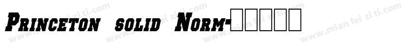 Princeton solid Norm字体转换